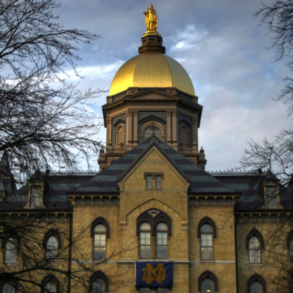 What are the requirements for the University of Notre Dame Writing supplement?