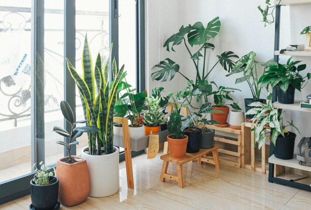 How to Create an Indoor Garden For Your NYC Apartment